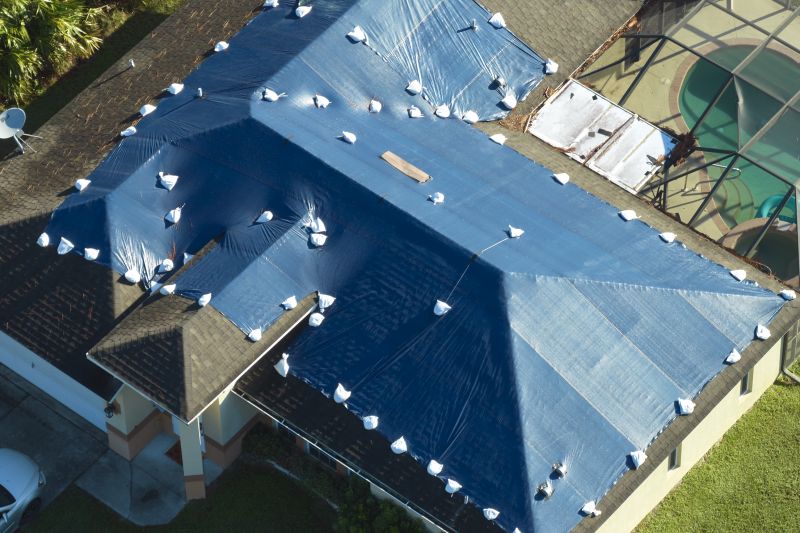 Tarping Roof Service