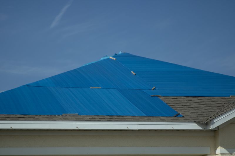 Tarping Roof Service