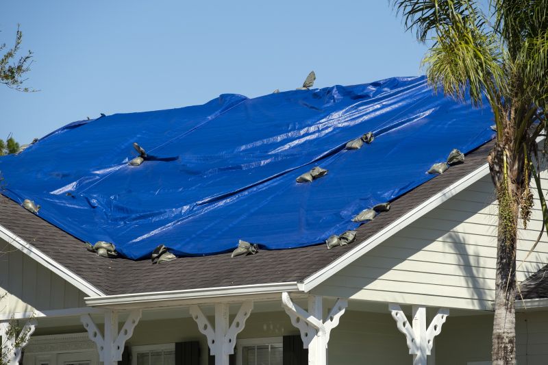 Tarping Roof Service