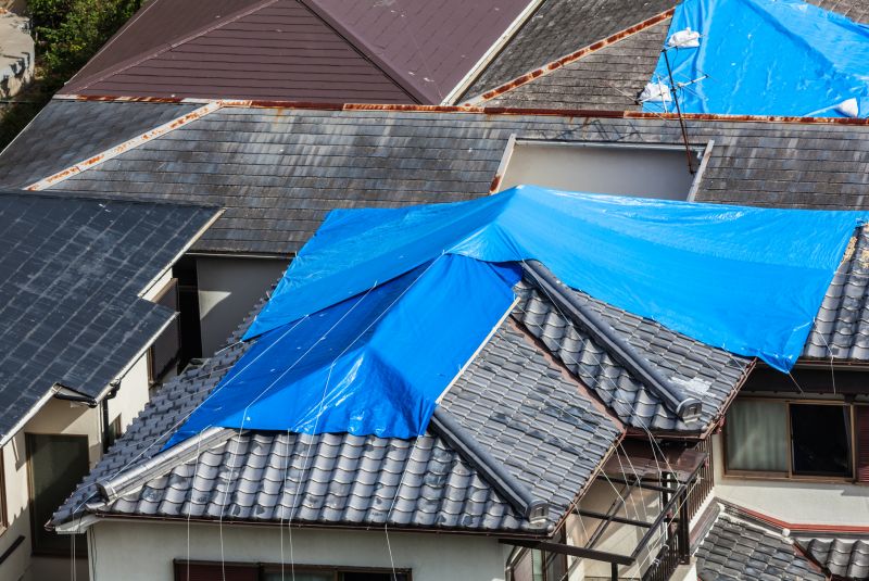 Tarping Roof Service